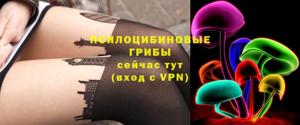 дживик Елабуга