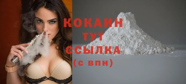 гидра Алзамай