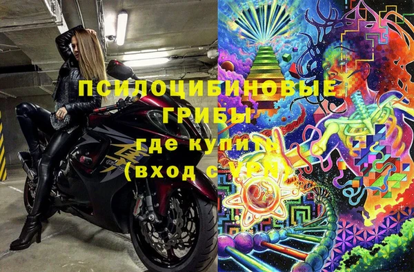 гидра Алзамай