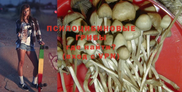 молекула духа Алексеевка