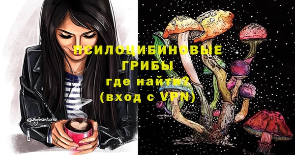 твердый Каменногорск