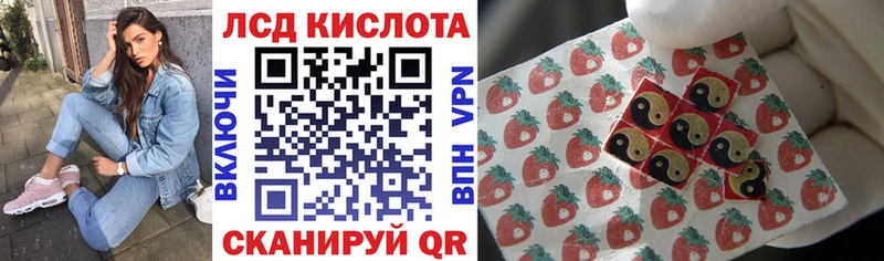 Марки N-bome 1,8мг  OMG ССЫЛКА  Сунжа 