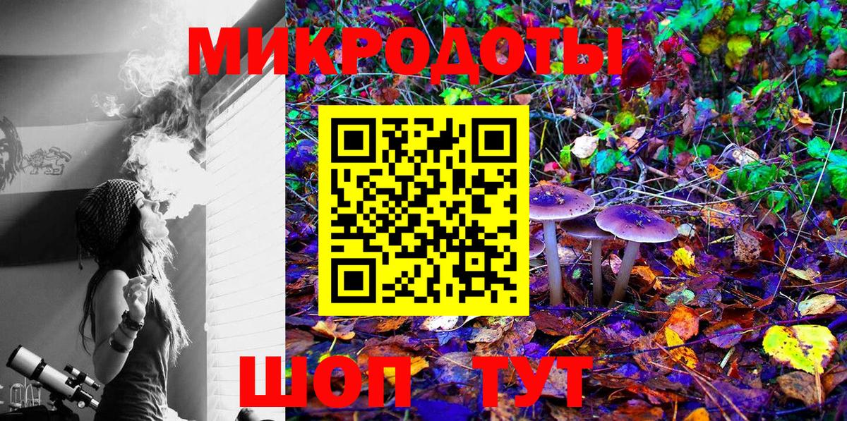 Галлюциногенные грибы мухоморы  закладки  Вход с VPN  Сунжа  Галлюциногенные грибы Psilocybe 