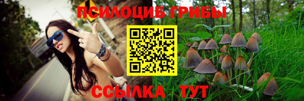 Псилоцибиновые грибы MAGIC MUSHROOMS Сунжа