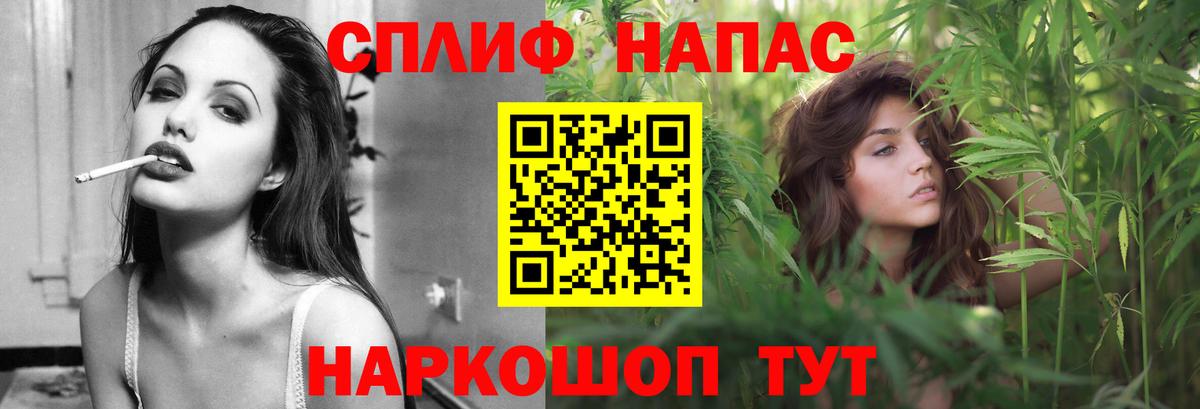 Бошки Шишки VHQ Сунжа